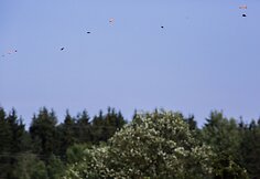 &Scaron;audymo varžybos Europos žaidynėse