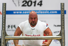 Vilniaus sporto festivalis