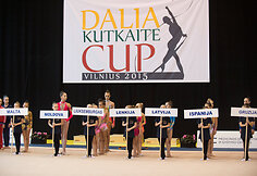 Meninės gimnastikos turnyras