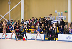 Meninės gimnastikos turnyras