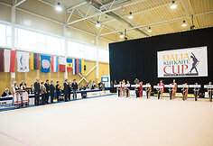Meninės gimnastikos turnyras