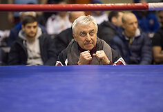 Dano Pozniako bokso turnyras
