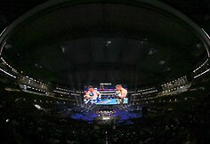 Canelo Alvarezas &ndash; Liamas Smithas