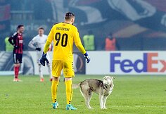 Haskis futbolo rungtynėse