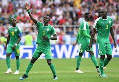 Lenkija &ndash; Senegalas