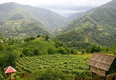 Nodaro &Scaron;erva&scaron;idzės sodyba