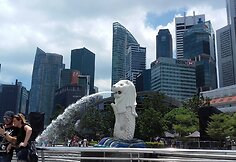 Singapūro dangoraižiai