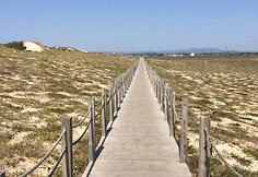 Pakeliui į salas: Nuo Porto iki Vigo