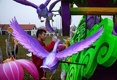 Pasiruo&scaron;imas festivaliui