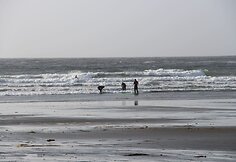 Plaukiojimas banglente lapkritį, Tofino