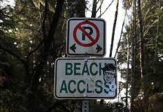 Plaukiojimas banglente lapkritį, Tofino