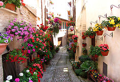 Spello