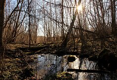 Pažintinis takas &bdquo;Ąžuolas&ldquo;