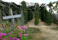 Vertingiausių pasaulyje – Kompot pipirų ūkyje