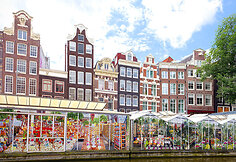 Amsterdamo gėlių turgus, Olandija