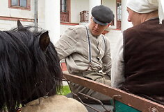 Alyva lenda i svetimą avižų mai&scaron;ą