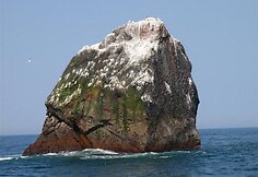 Rockall sala