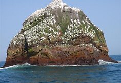 Rockall sala