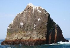 Rockall sala