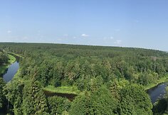 Medžių lajų tako apžvalgos bok&scaron;tas