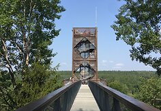 Medžių lajų tako apžvalgos bok&scaron;tas