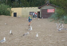 Lenkija