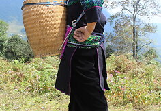 Kelionė Sapoje, Vietname