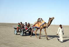 Great Rann of Kutch. Vietinis transportas