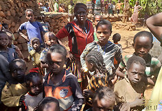 Konso gentis