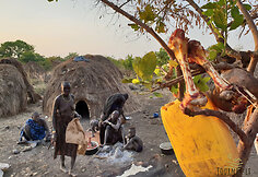 Mursi gentis