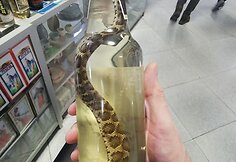 Kelionė &Scaron;iaurės Korėjoje