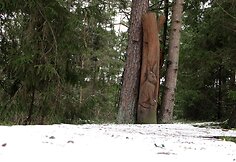  &Scaron;arki&scaron;kių skulptūrų takai