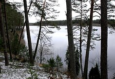  &Scaron;arki&scaron;kių skulptūrų takai