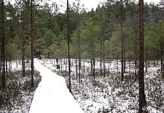  &Scaron;arki&scaron;kių skulptūrų takai