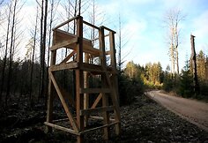 Algimanto apygardos partizanų kovos takais
