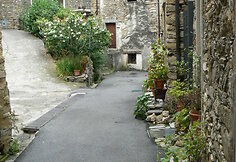 Cenova