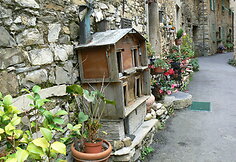 Cenova