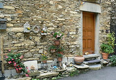 Cenova