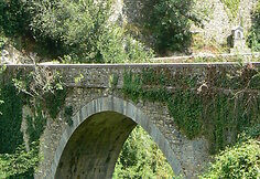 Lavina 