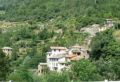 Lavina 