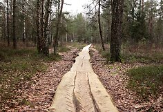 Velniabliūdžio gamtos takas