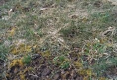 Motociklais i&scaron;važinėtas Kudinų piliakalnis ir jo apylinkės