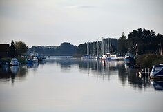 Mingė