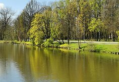 &Scaron;akių ežeras