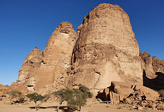 Saudo Arabijoje