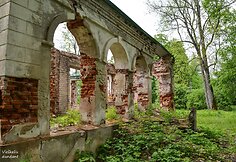 Tarnavos dvaro rūmai (Roki&scaron;kio r.)
