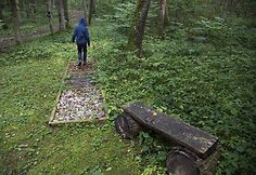 Paliesiaus dvaro pažintinis sveikatingumo takas