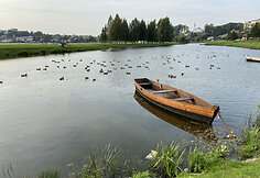 Tel&scaron;iai