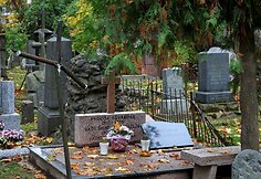 Ankstesnių audrų padariniai Bernardinų kapinėse