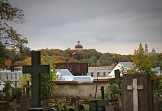 Bernardinų kapinėse kertami medžiai